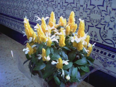 normal_photo018.jpg