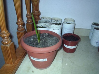 normal_PIC_0015%7E0.JPG
