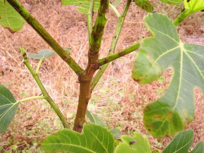 normal_PIC_0134.JPG