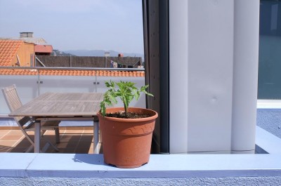 normal_PICT0390.JPG