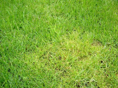 normal_PICT2040_small.JPG
