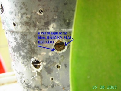 normal_PICT3119PAINT.JPG