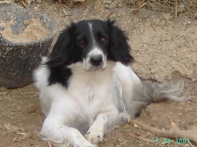 normal_PICT3684.JPG