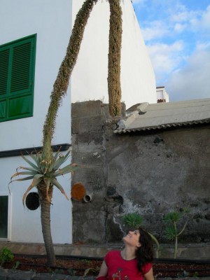 normal_planta%20puerto.JPG