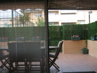normal_plantas%20006%7E0.jpg