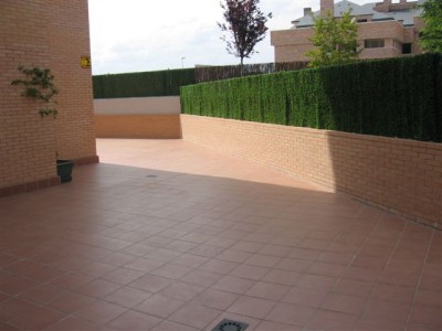 normal_plantas%20007%7E1.jpg