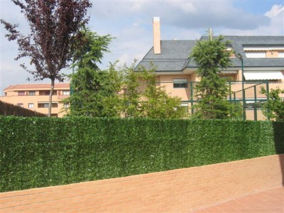 normal_plantas%20017.jpg
