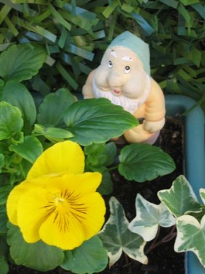 normal_plantas%20079.jpg