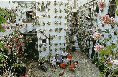 normal_Plantes.jpg