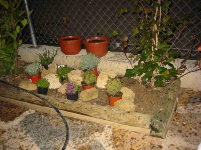 normal_Proyecto%20rocalla%202.jpg