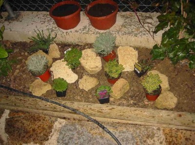 normal_Proyecto%20rocalla%203.jpg