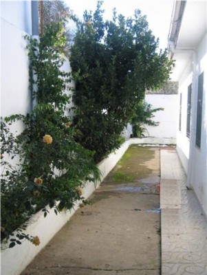 normal_Proyecto1%7E0.jpg