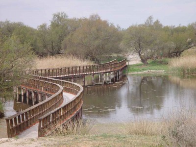 normal_PuenteTablas.jpg