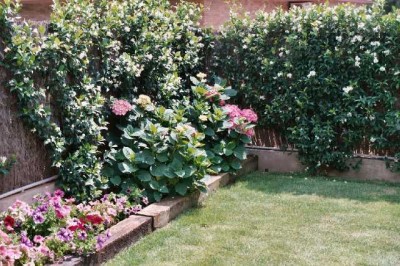 normal_Resized_CD%20116.jpg