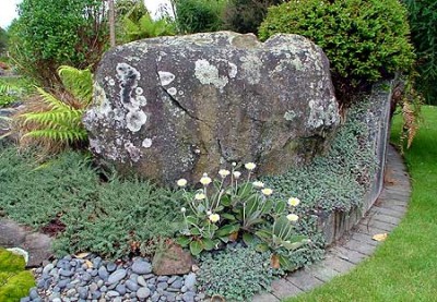 normal_rock1_big.jpg