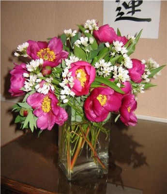 normal_rosa3f.jpg