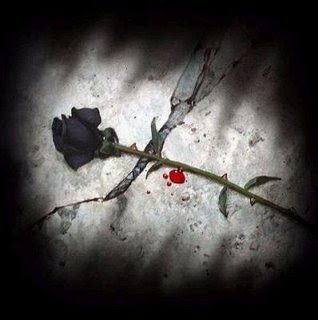 normal_Rosa_negra%5B1%5D.jpg