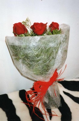 normal_rosas%7E0.JPG