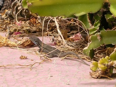 normal_RSCN9974.jpg