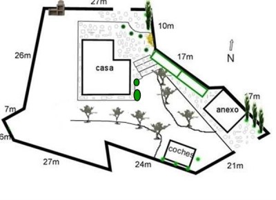 normal_s%F3lo%20olivos%20plano%20arbol.jpg