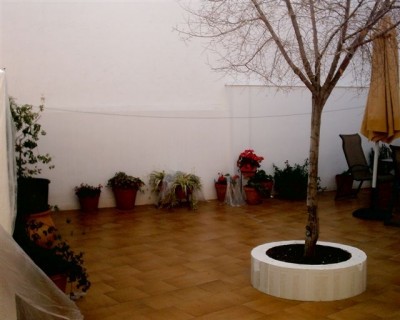 normal_S1010002.JPG
