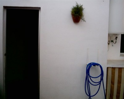normal_S1010006.JPG