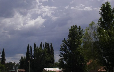 normal_S2500006%7E5.JPG