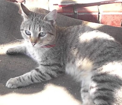 normal_S2500371.JPG