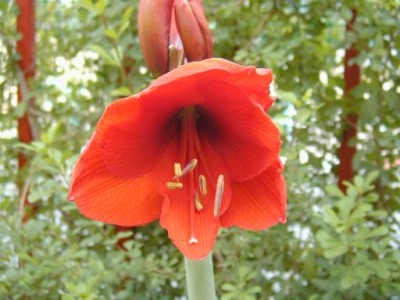 normal_S_P4280005.JPG
