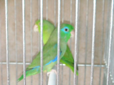normal_SANY0059.JPG