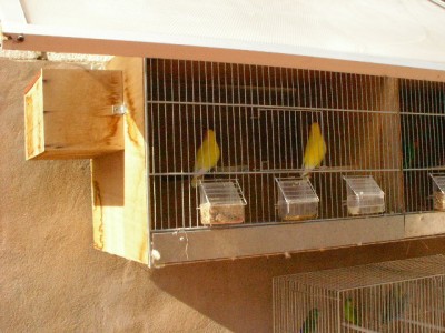 normal_SANY0065.JPG