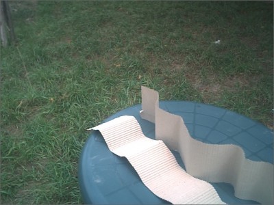 normal_Sep02404.JPG