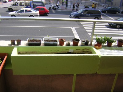 normal_Terraza%203.JPG