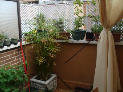 normal_terraza%2Bcoc%20071.jpg