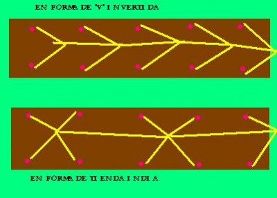 normal_tutorar%20tomaquets.jpg