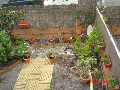normal_vista%20aeres%20cantell%20sol%20i%20mitja%20sombra%20peri%20Dichondra.jpg