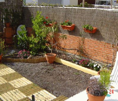 normal_zona%20de%20sol%20para%20dichondra.jpg