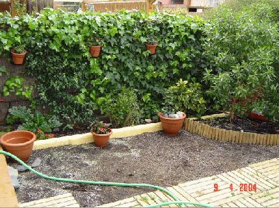 normal_Zona%20sombra%209%20Abril%202004%20per%20plantar%20dichondra.jpg