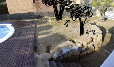 normal_zona-olivo3.jpg