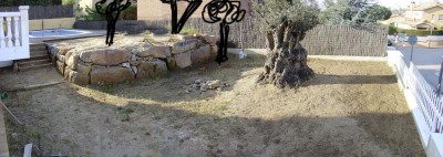 normal_zona-olivo4.jpg