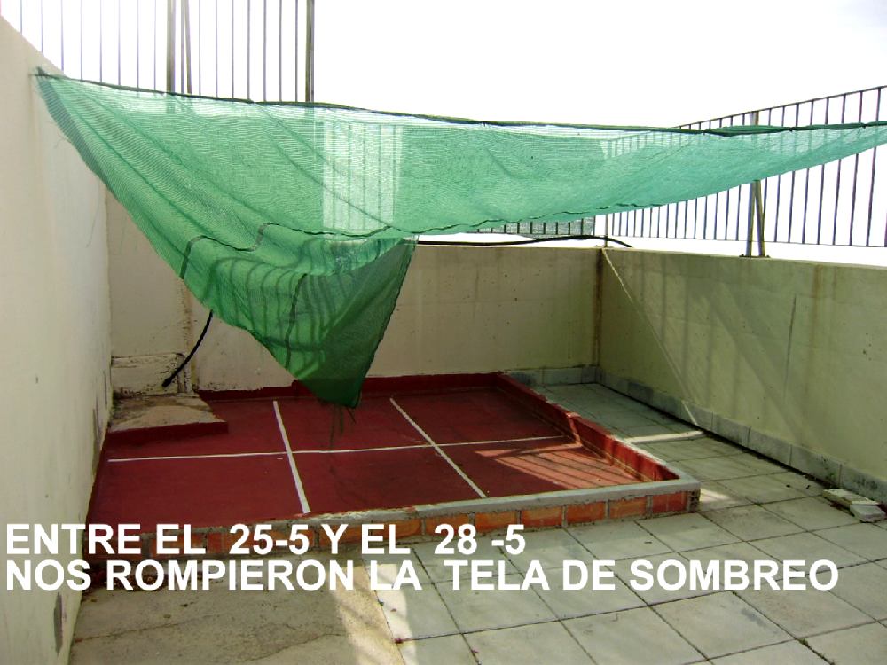 NOS%2BRROMPIERON%2BLA%2BTELA%2BDE%2BSOMBREO%2B%2B28%2B5.jpg