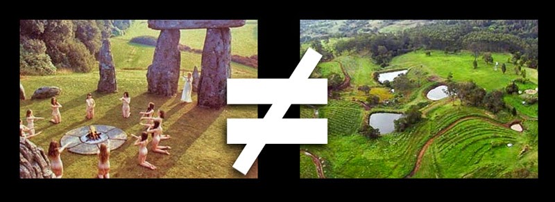 Not_Permaculture.jpg