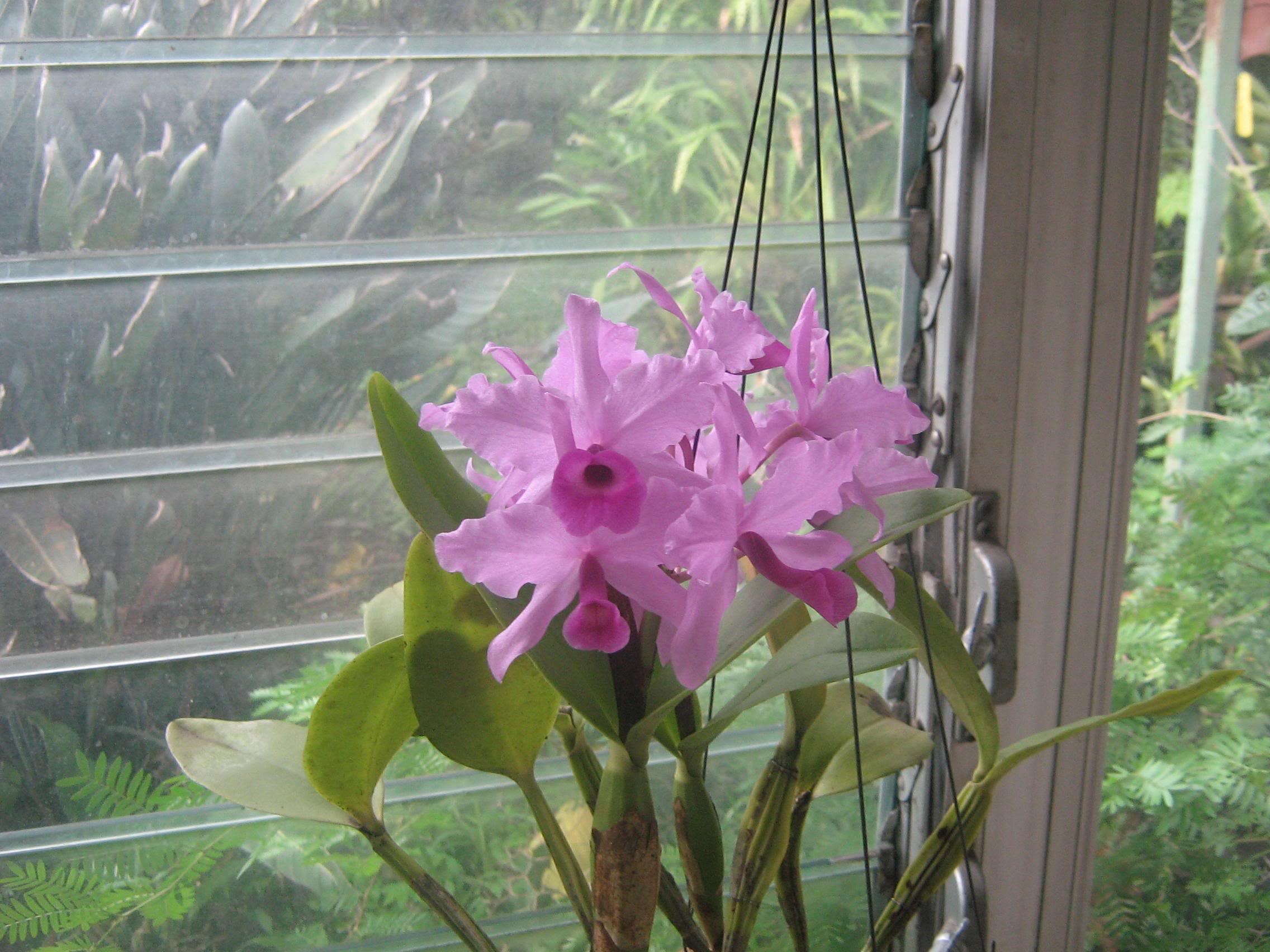 nov-07015.jpg