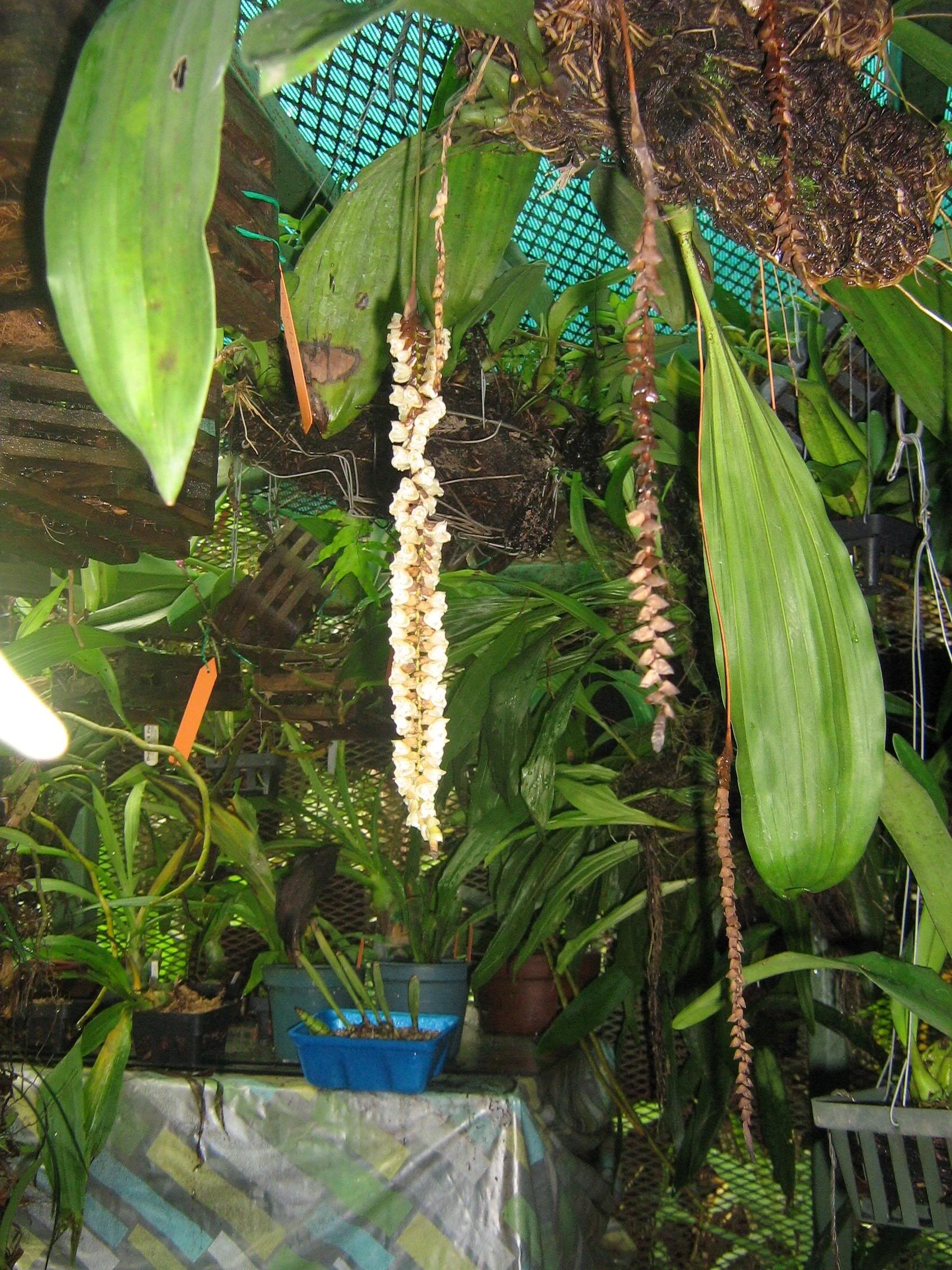 nov-07018.jpg