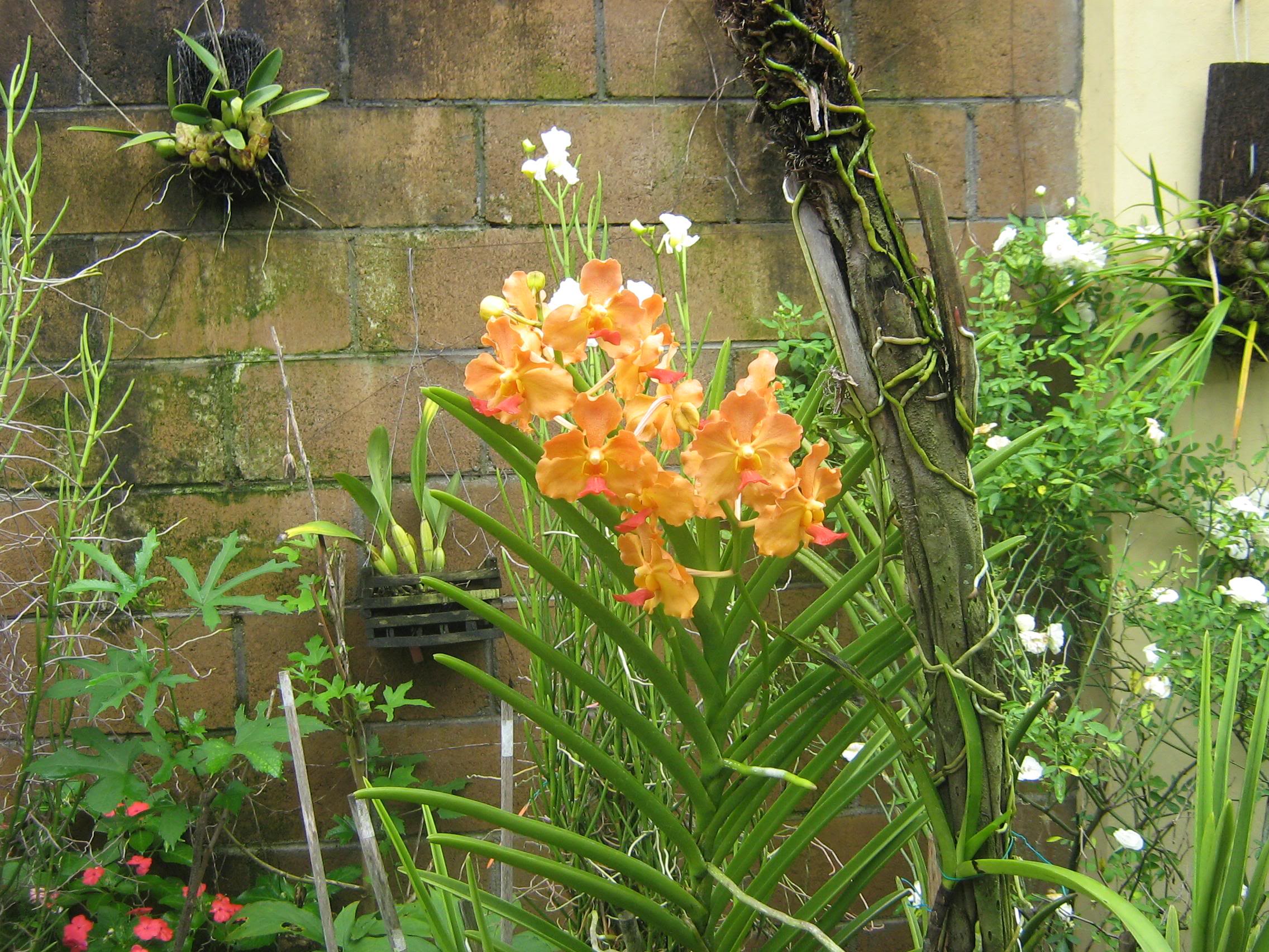 nov-07024.jpg
