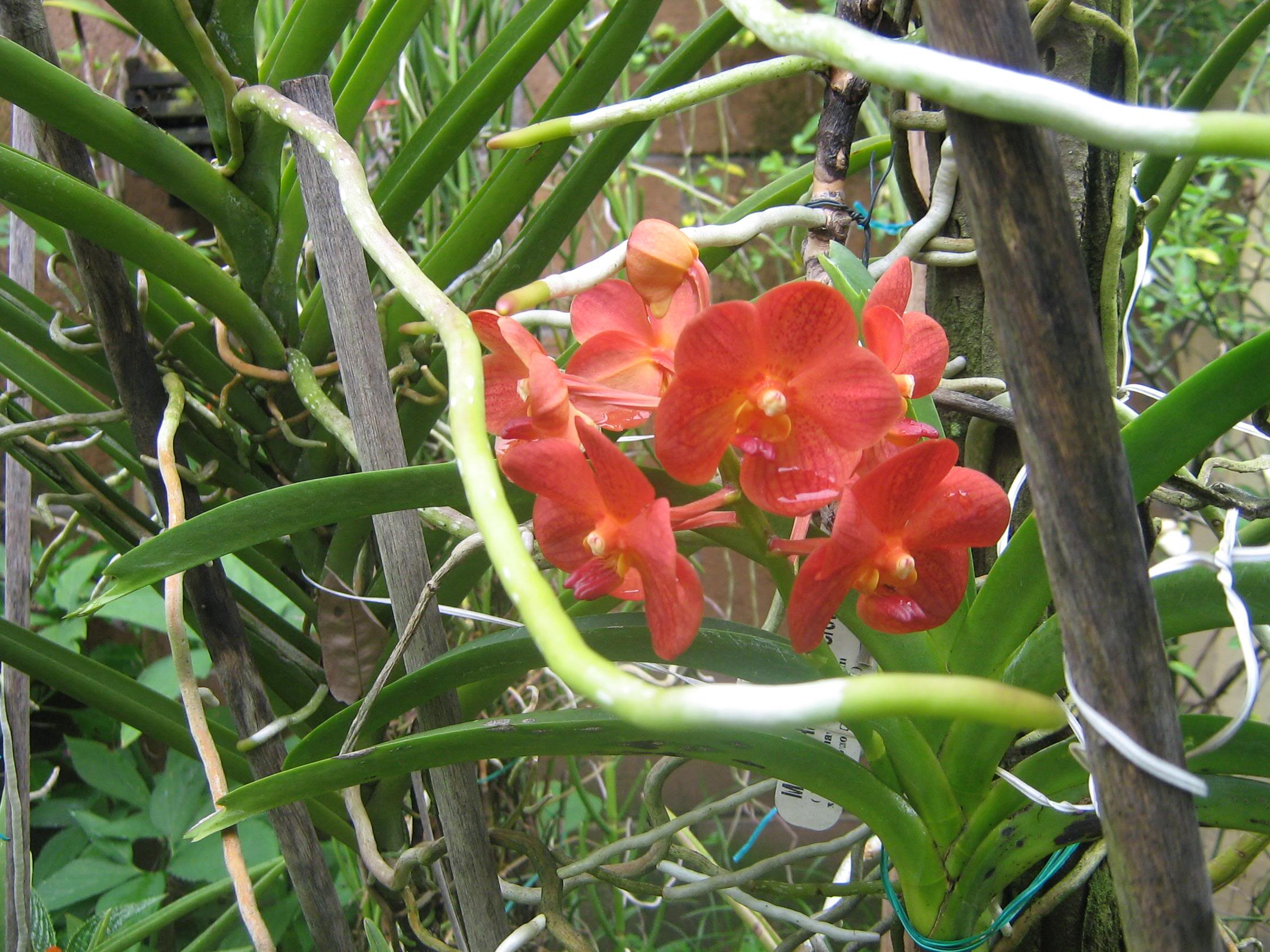 nov-07026.jpg