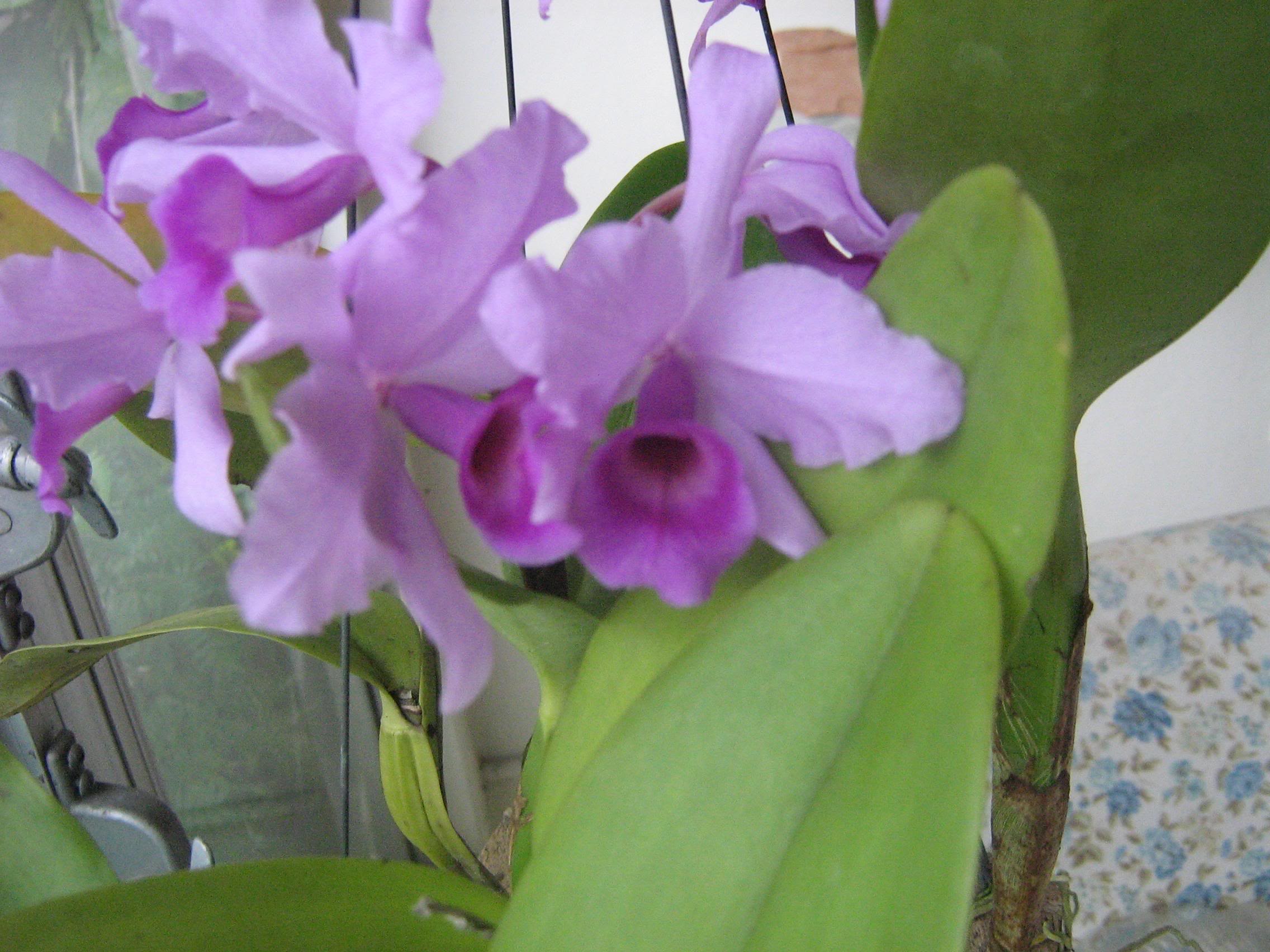 nov-07033.jpg