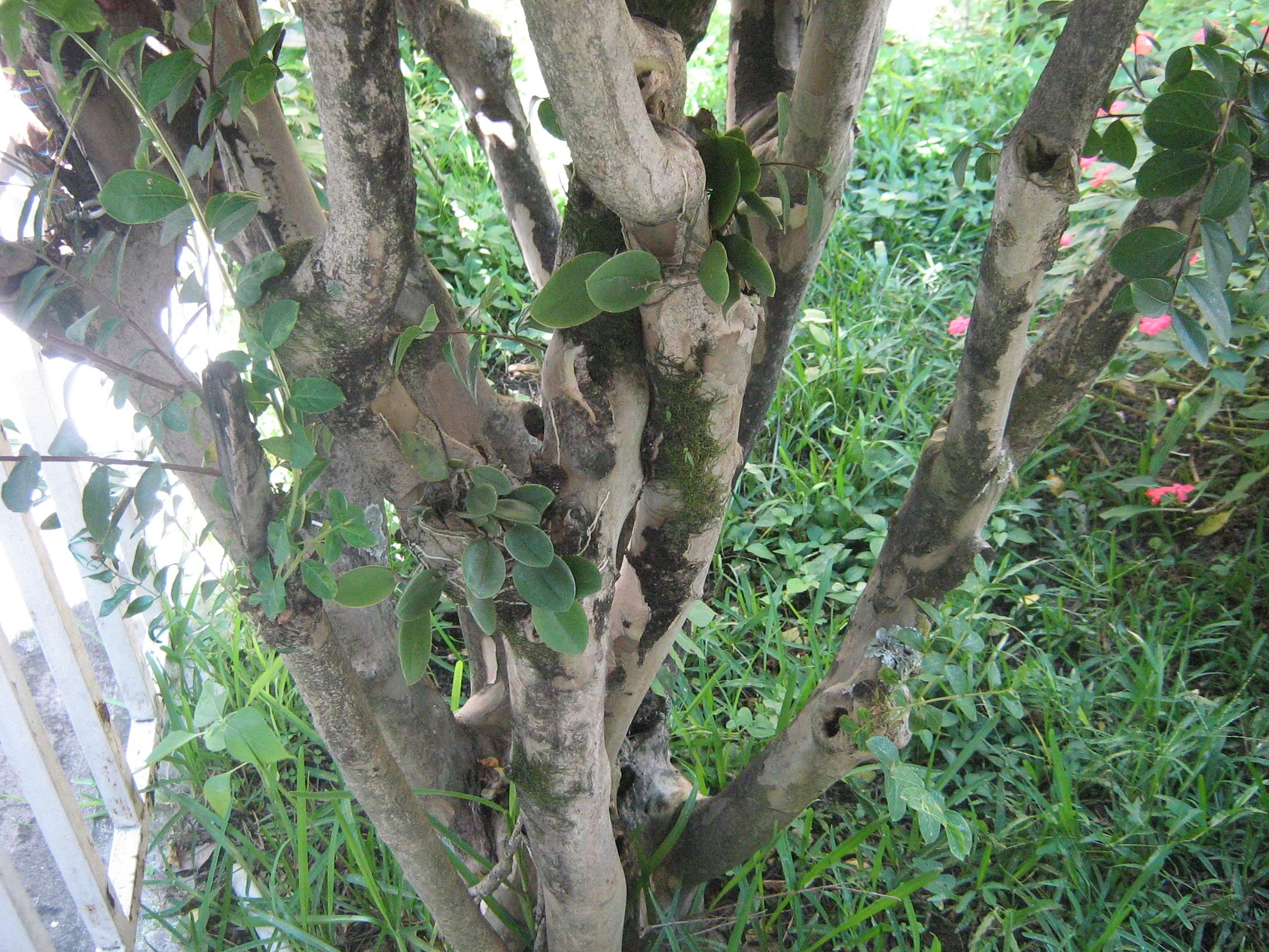 nov-07152.jpg