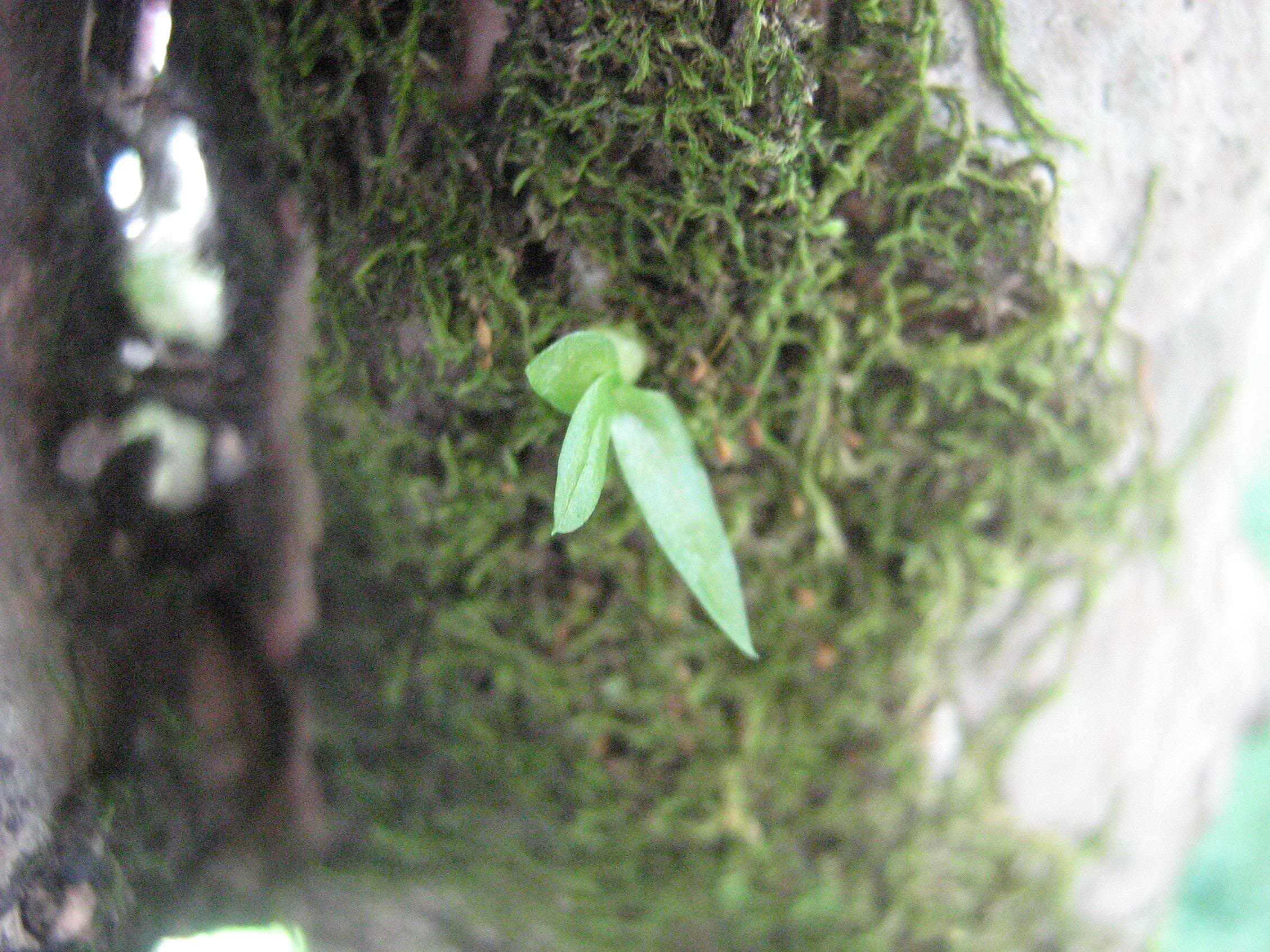 nov-07153.jpg
