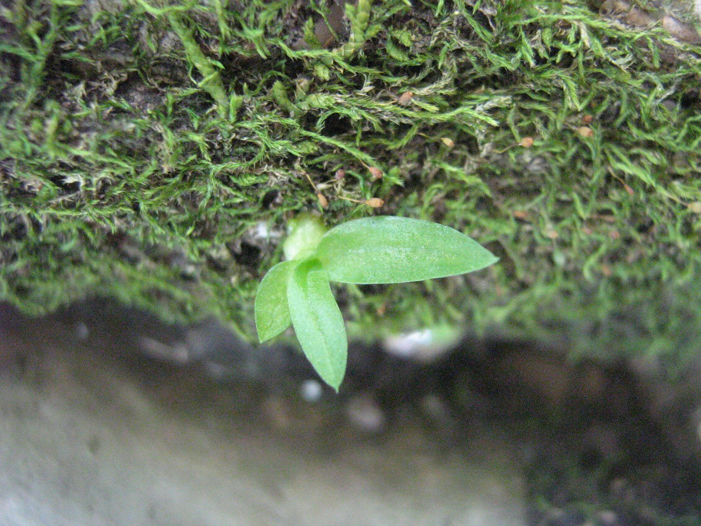 nov-07155.jpg